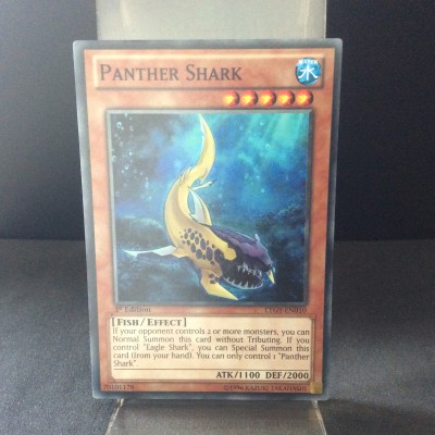 Panther Shark
