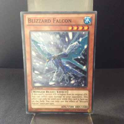 Blizzard Falcon