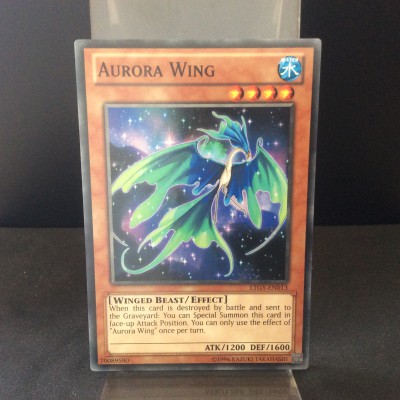 Aurora Wing