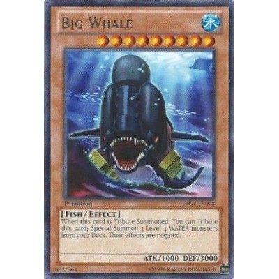 Big Whale