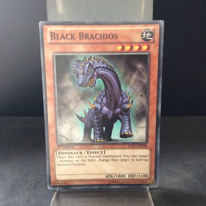 Black Brachios