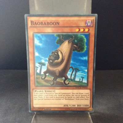 Baobaboon