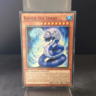 Kaiser Sea Snake