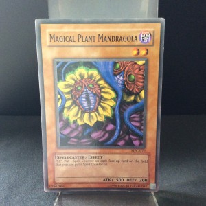 Magical Plant Mandragola