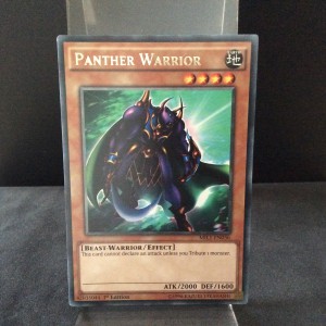 Panther Warrior