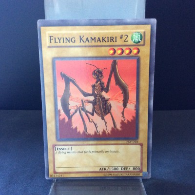 Flying Kamakiri #2