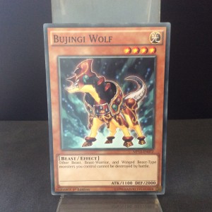 Bujingi Wolf