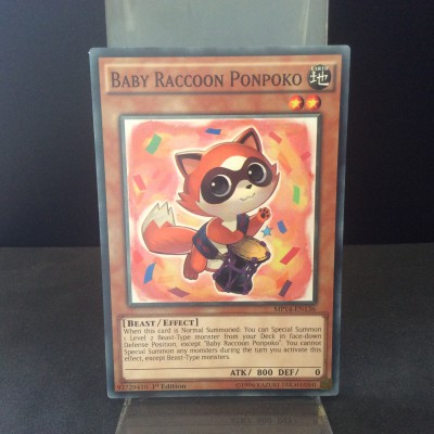 Baby Raccoon Ponpoko