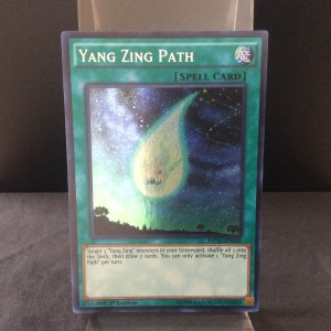 Yang Zing Path