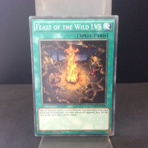 Feast of the Wild LV5