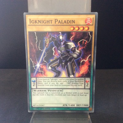 Igknight Paladin