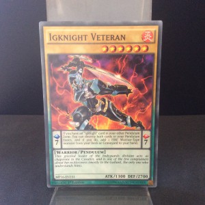 Igknight Veteran