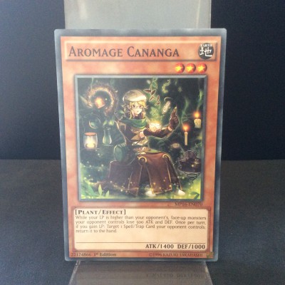 Aromage Cananga