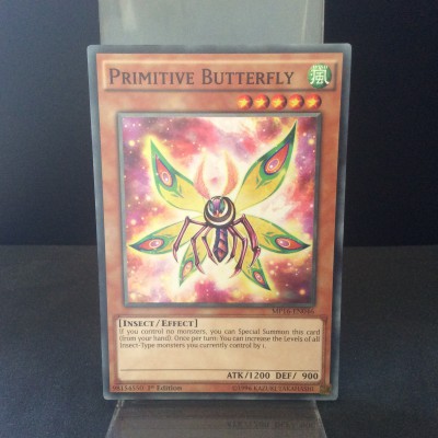 Primitive Butterfly
