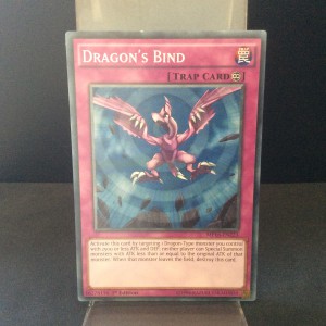 Dragon's Bind