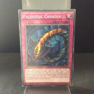 Paleozoic Canadia