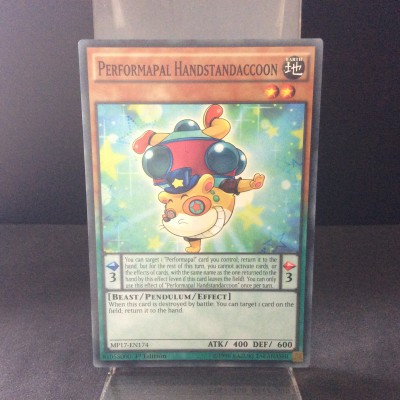 Performapal Handstandaccoon