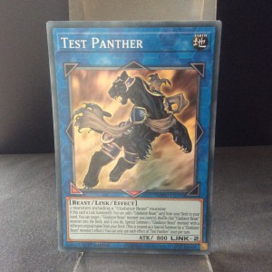 Test Panther