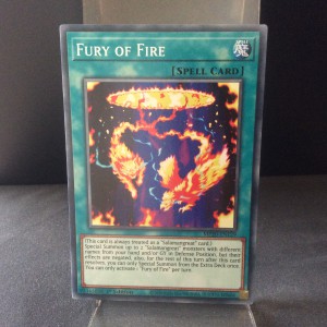 Fury of Fire