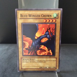 Blue-Winged Crown