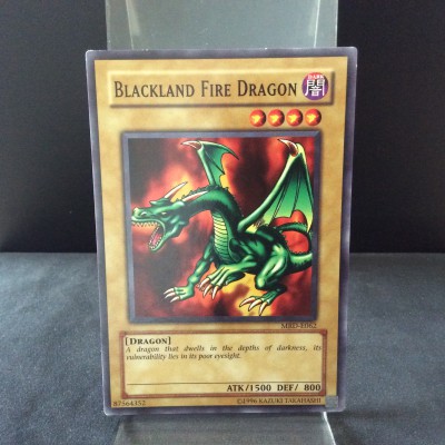 Blackland Fire Dragon