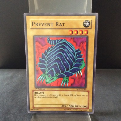 Prevent Rat