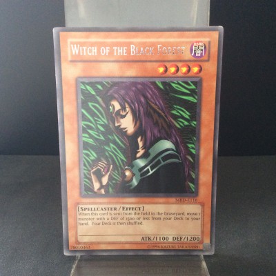 Witch of the Black Forest