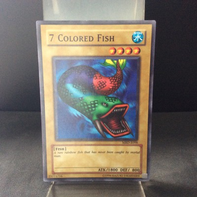 7 Colored Fish