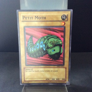Petit Moth