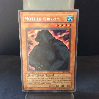 Mother Grizzly