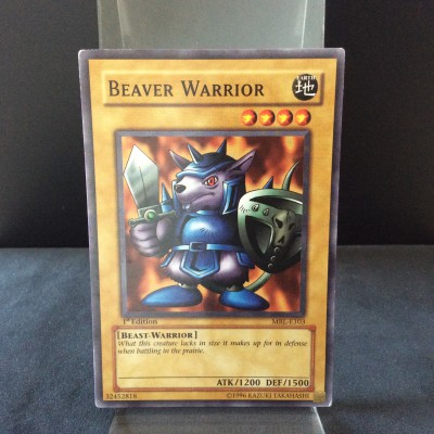 Beaver Warrior