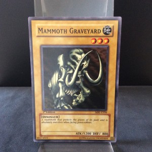 Mammoth Graveyard