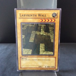 Labyrinth Wall
