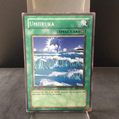 Umiiruka