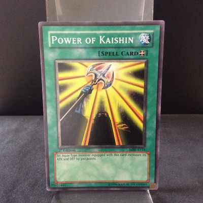 Power of Kaishin