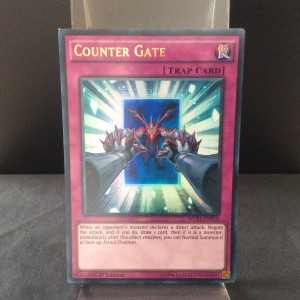Counter Gate