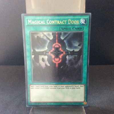 Magical Contract Door