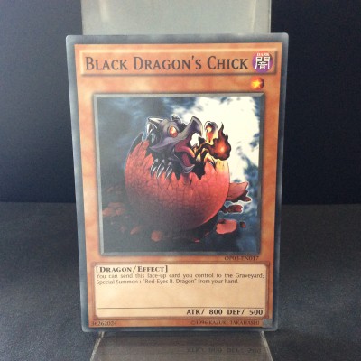 Black Dragon's Chick