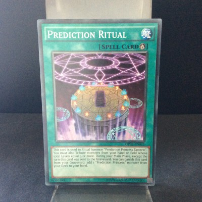 Prediction Ritual