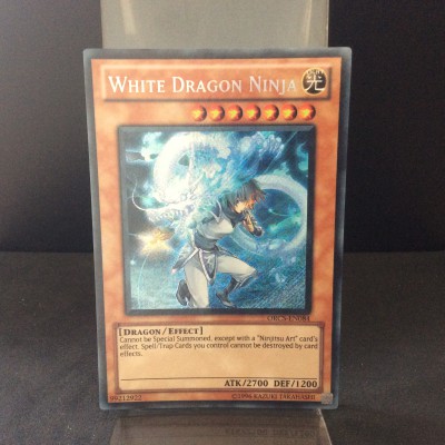 White Dragon Ninja