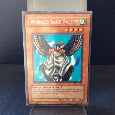 Winged Sage Falcos