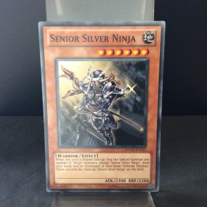 Senior Silver Ninja