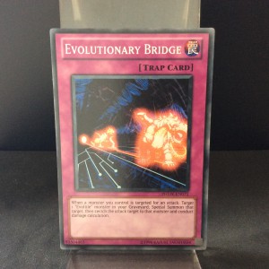 Evolutionary Bridge