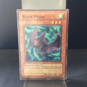 Black Ptera