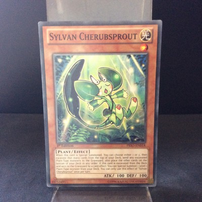 Sylvan Cherubsprout