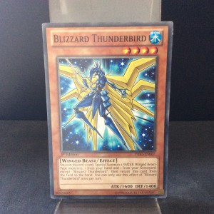 Blizzard Thunderbird