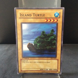 Island Turtle