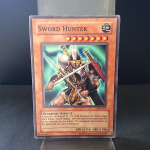 Sword Hunter