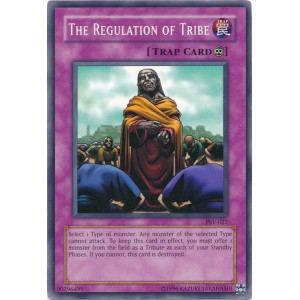 The Regulation of Tribe