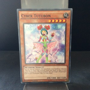 Cyber Tutubon